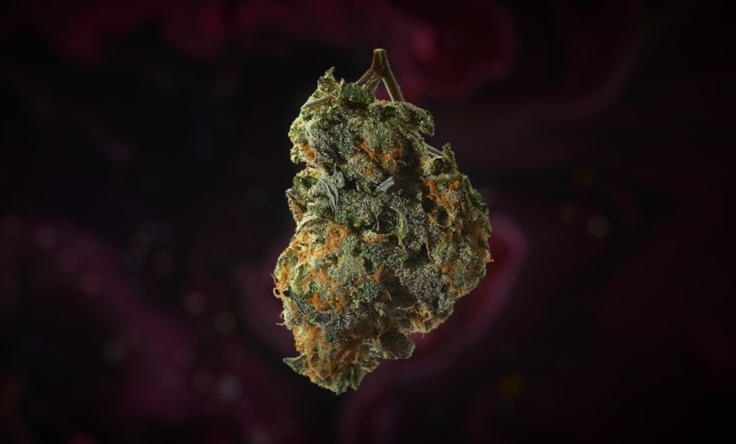The Benefits of Hemp Products