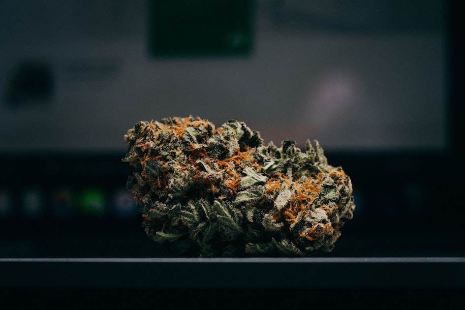 Exploring THC Products in Minnesota